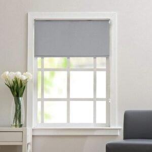 roller blind window